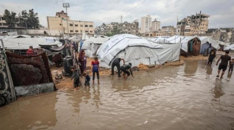 "حماية" يطالب الأمم المتحدة بإدخال عاجل للكرفانات والوقود لغزة