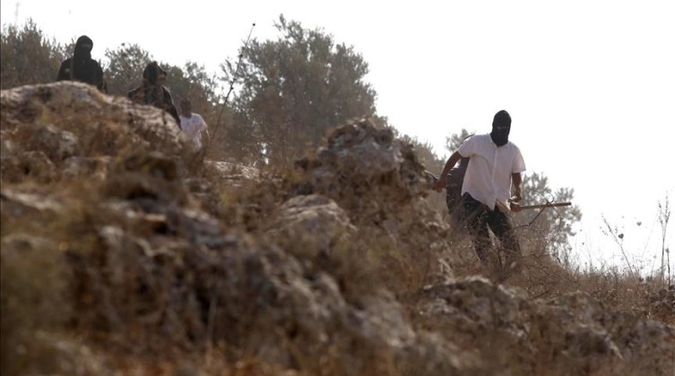 شعبان: 23 ألف اعتداء استيطاني ضد الفلسطينيين في 2025