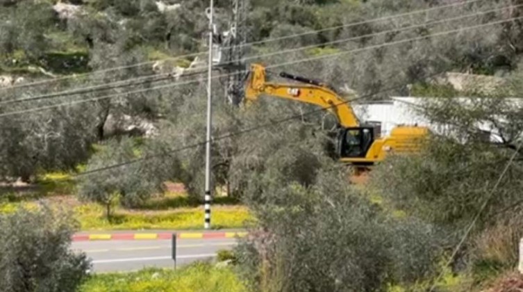 الاحتلال يقتلع الأشجار قرب مدخل راس كركر غرب رام الله