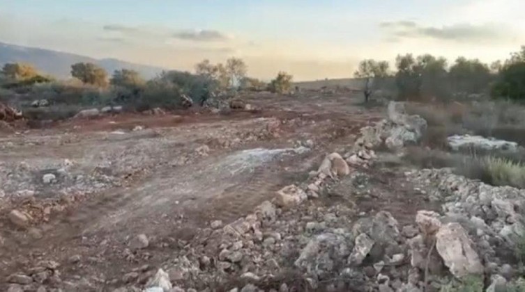 مستوطنون يُجرفون أراضي زراعية في الأغوار