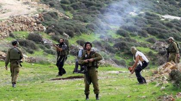 القدس: مستعمرون يقتحمون تجمع جبل البابا في العيزرية