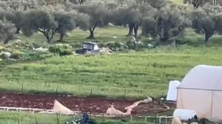 مستوطنون يقتحمون الأراضي في سهل المغير شمال رام الله