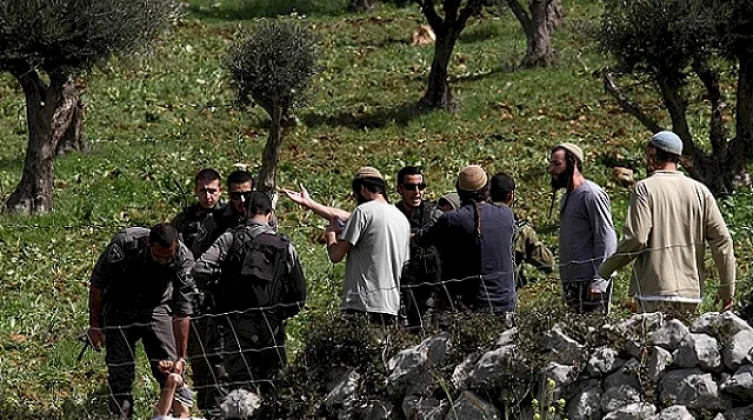 مستعمرون يحرقون مركبة ويهاجمون منازل المواطنين جنوب نابلس