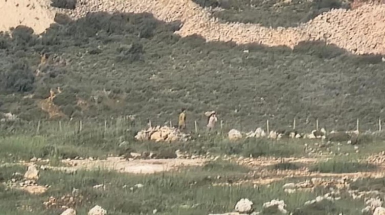 مستوطنون يُسيّجون مئات الدونمات من أراضي الطيبة شرق رام الله