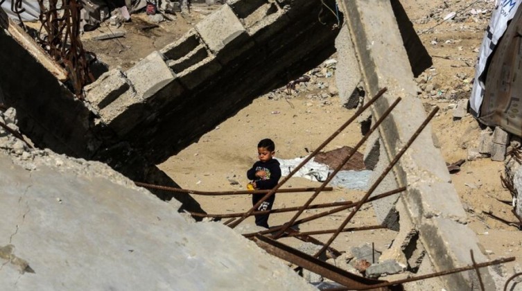 الصحة العالمية: 17 ألف إصابة في غزة من القوارض