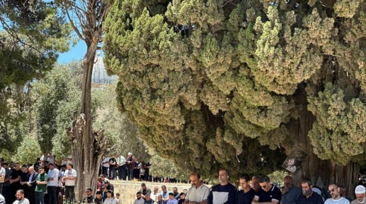 بثالث أيام العيد.. 60 ألف مصلٍ يؤدون الجمعة بالمسجد الأقصى