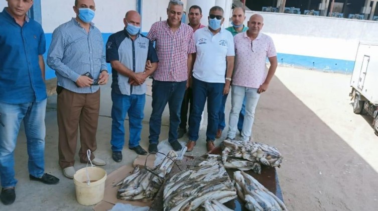 مباحث التموين بخانيونس تتلف 162 كجم سمك فاسد