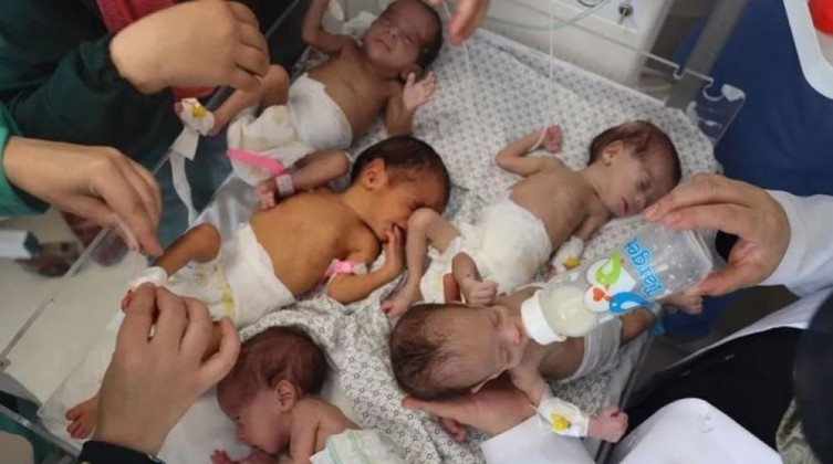غزة: ارتفاع حاد في حالات الإجهاض وتراجع كبير في معدلات المواليد