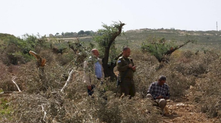 الاحتلال يصدر أوامر عسكرية بإزالة الأشجار عن 69 دونما من أراضي محافظة نابلس