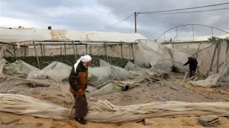 خسائر القطاع الزراعي في غزة تتجاوز 3.4 مليار دولار جراء الحرب