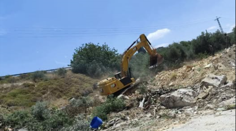 الاحتلال يقتلع أشجار زيتون من أراضي مادما بنابلس