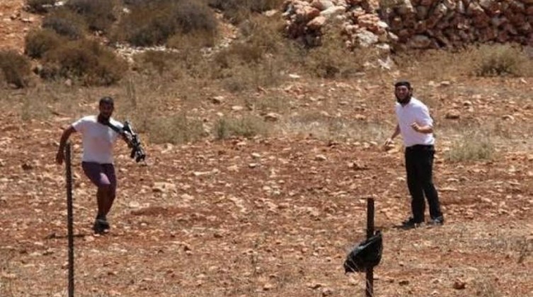 مستوطنون يسيجون أراضي رعوية في الأغوار الشمالية