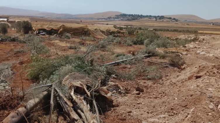 جرافات الاحتلال تشن عمليات تجريف واسعة في الأغوار