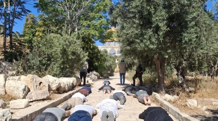 256 مستوطناً يقتحمون المسجد الأقصى