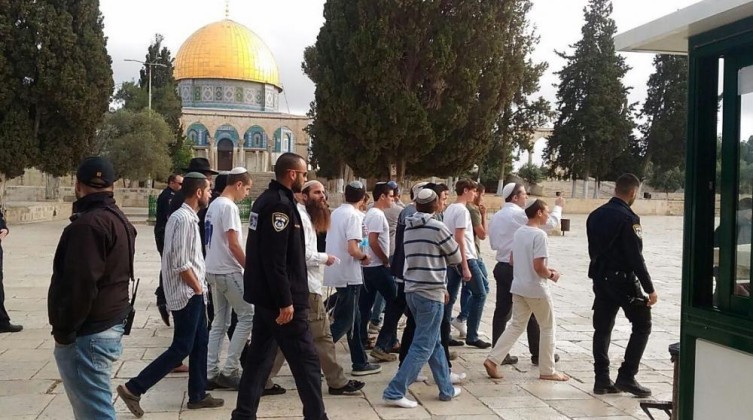 1059 مستوطنًا اقتحموا المسجد الأقصى خلال أسبوع