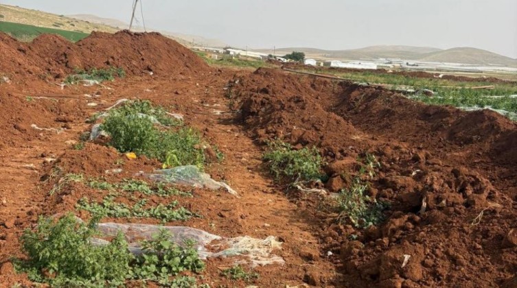 الاحتلال والمستوطنون يدمرون محاصيل ومياه الأغوار