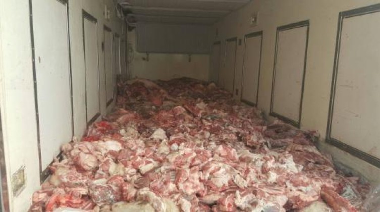 إتلاف 16 طنًا من الدجاج المجمد التالف في غزة