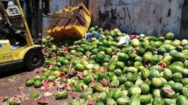 إتلاف أكثر من طن من البطيخ غير الصالح للاستهلاك في غزة