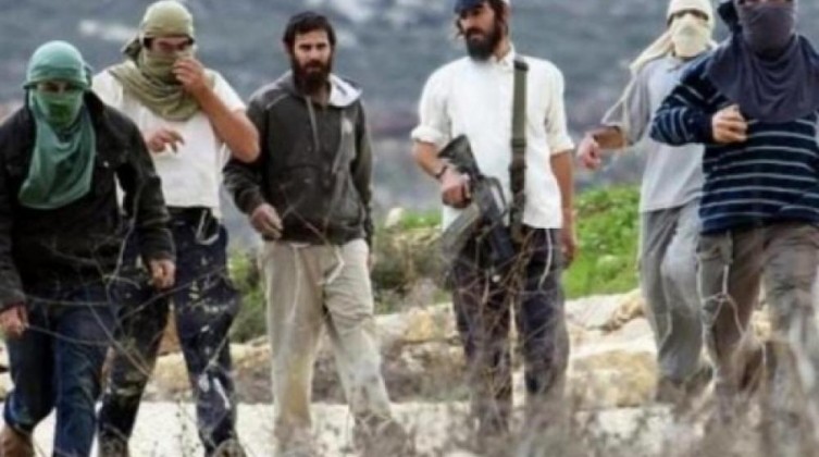 مستوطنون يهاجمون منازل المواطنين ومركباتهم شرق إذنا بالخليل