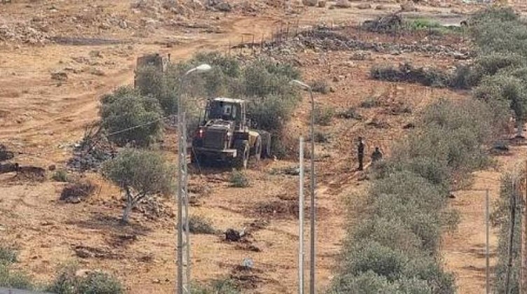 الاحتلال يقتلع أكثر من 400 شجرة زيتون في بيت ريما برام الله