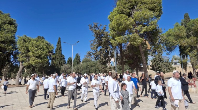 مئات المستوطنين يقتحمون الأقصى بحماية الاحتلال في ثالث أيام "عيد العرش"
