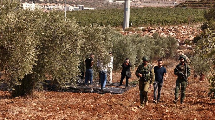 الاحتلال والمستوطنون يلاحقون مزارعي الزيتون في نابلس وسلفيت