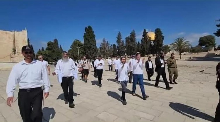 مستوطنون يقتحمون المسجد الأقصى ويؤدون طقوسًا تلمودية