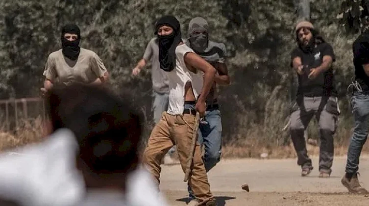 مستوطنون يهاجمون قاطفي الزيتون ويستولون على جرار زراعي شمال نابلس