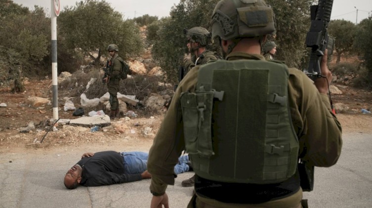 خبراء أمميون يطالبون إسرائيل بحماية المزارعين الفلسطينيين في الضفة
